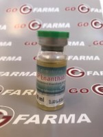 Sp Enanthate Forte 500