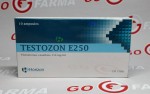 Horizon Testozon E250 prosrok